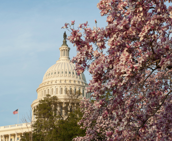 2025 AASCU on the Hill